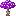 Zoogi Fungus Zoogi Fungus